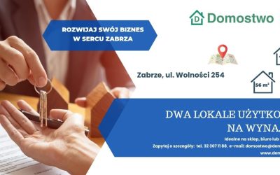 Lokale do wynajęcia w centrum Zabrza